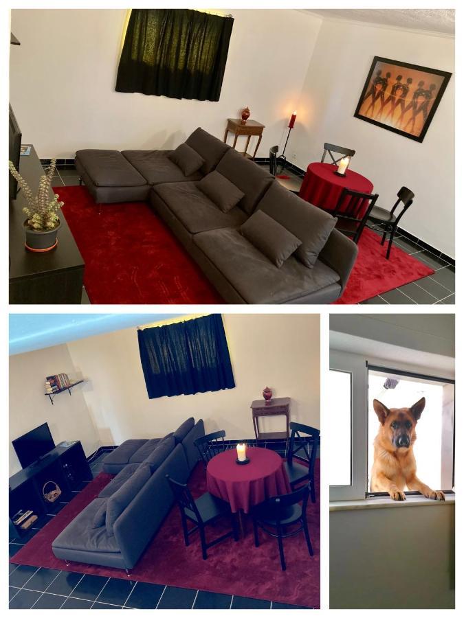 Apartament Toca Do Lobo Charneca  Zewnętrze zdjęcie