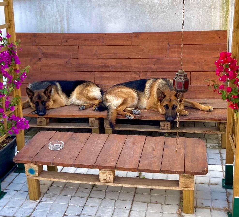 Apartament Toca Do Lobo Charneca  Zewnętrze zdjęcie